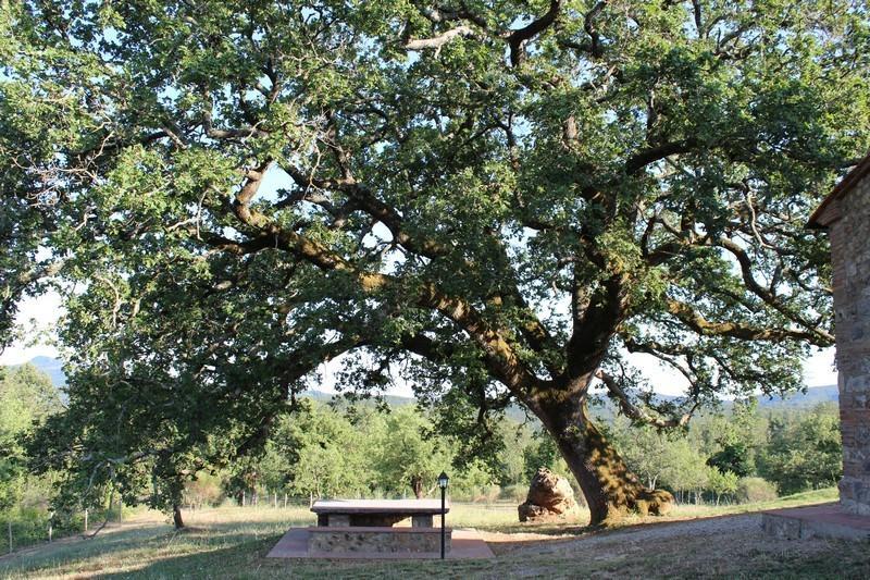 Agriturismo La Quercia Boccheggiano Kültér fotó