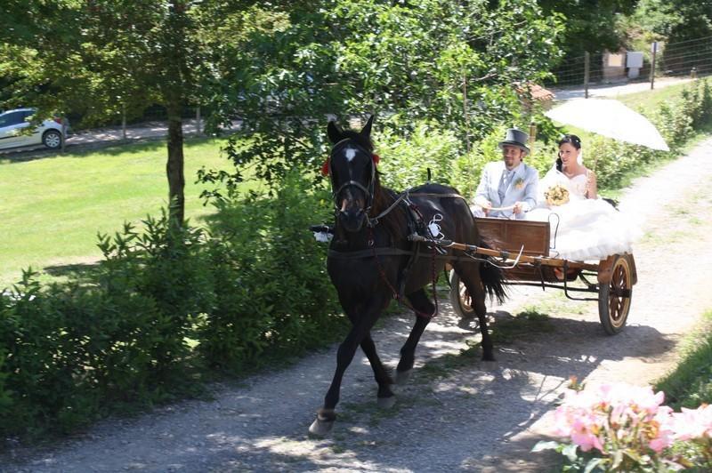 Agriturismo La Quercia Boccheggiano Kültér fotó